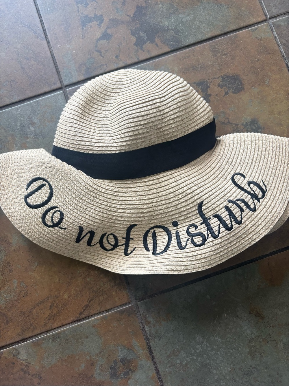 Serra Wide-Brim Straw Sun Hat in Beige with Black Band - DO NOT DISTURB